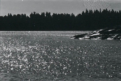 Photo 1010921-1000