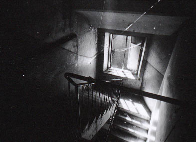 Photo 1011003-1000