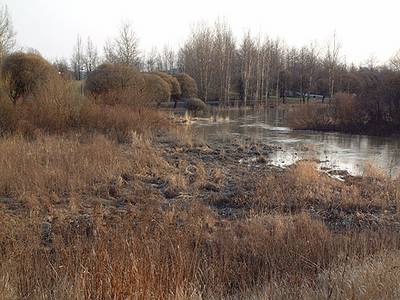 Photo 1017584-1067