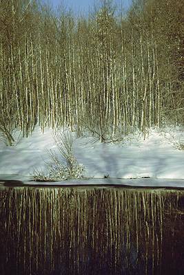 Photo 1017918-1067