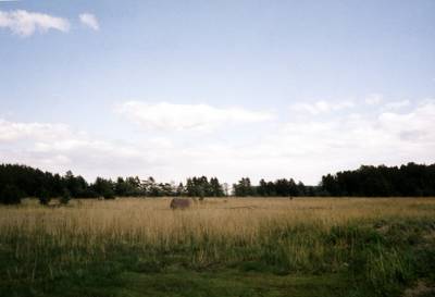 Photo 1019782-1074