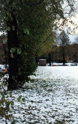 Photo 1021346-1103
