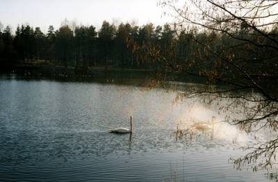 Photo 1023784-1120