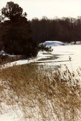 Photo 1024204-1103