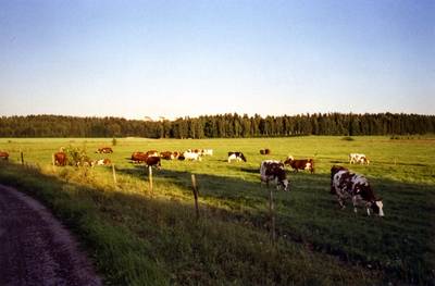 Photo 1026191-1168