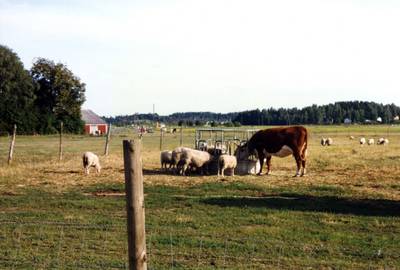 Photo 1026200-1168