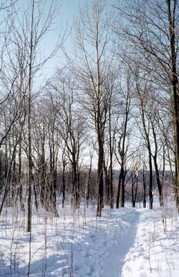 Photo 1026516-1118