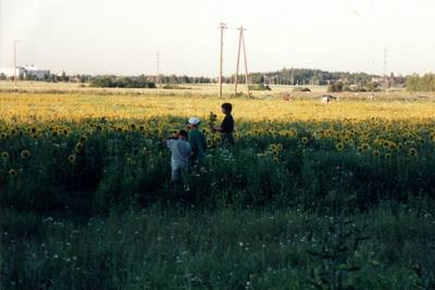 Photo 1026641-1168