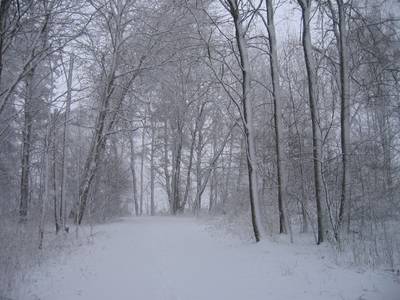 Photo 1027516-1098