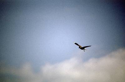 Photo 1027726-1134