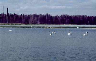 Photo 1027728-1134