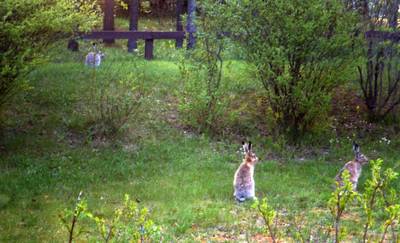 Photo 1027995-1120
