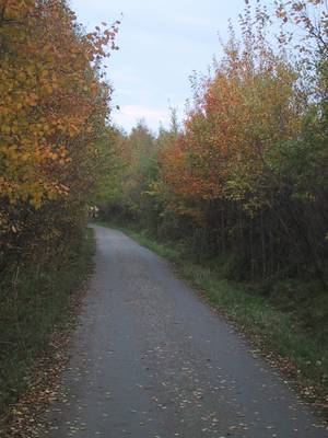 Photo 1028112-1179