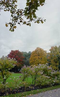 Photo 1028173-1178