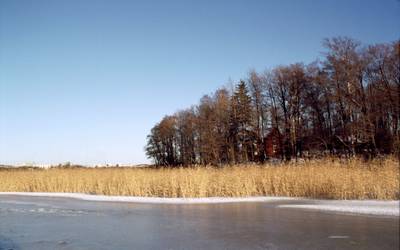 Photo 1028655-1118