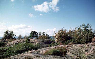 Photo 1028691-1118