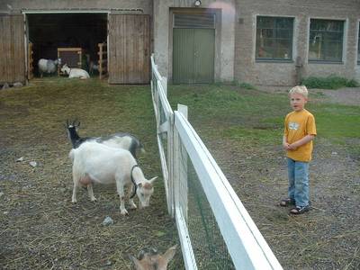 Photo 1029903-1168