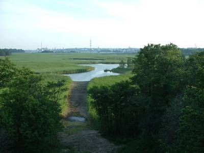 Photo 1029913-1168