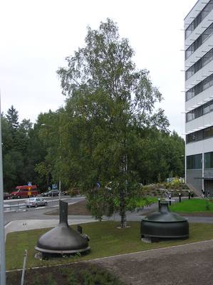 Photo 1030720-1074