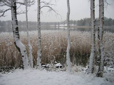 Photo 1031611-1098