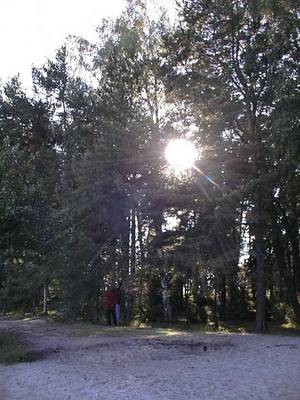 Photo 1032128-1198
