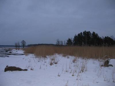 Photo 1032171-1198