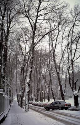 Photo 1032304-1116