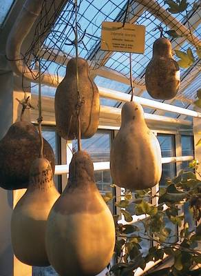 Photo 1032416-1192
