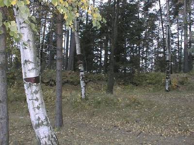 Photo 1032549-1198