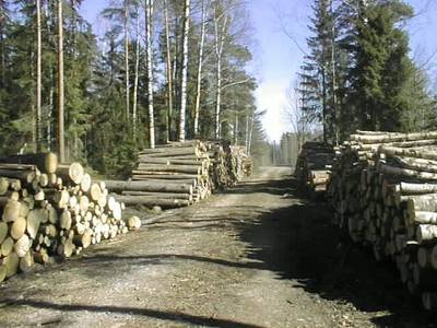 Photo 1032795-1198