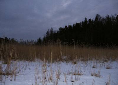 Photo 1032965-1198