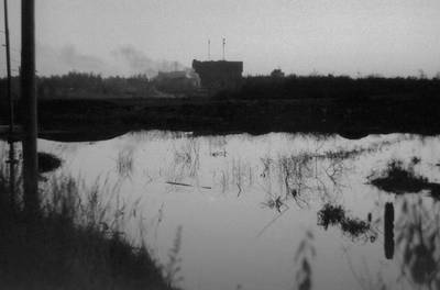 Photo 1033141-1198