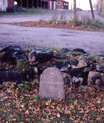 Photo 1033169-1198