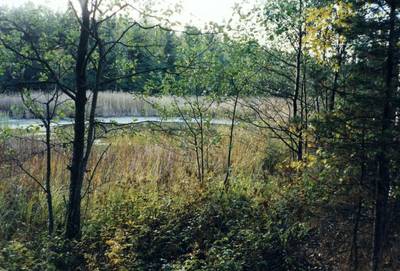 Photo 1033170-1198