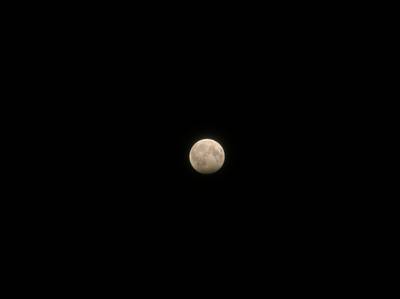 Photo 1033202-1074