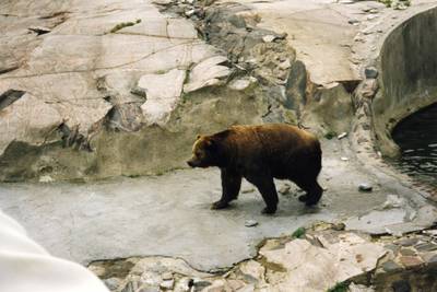 Photo 1033654-1201
