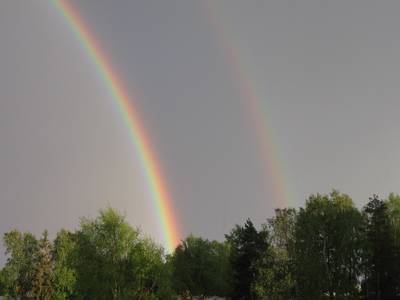 Photo 1034582-1198