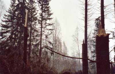 Photo 1034670-1120