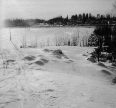 Photo 1034750-1198