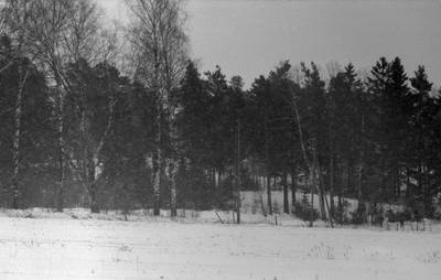 Photo 1035161-1198