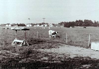Photo 1035163-1198