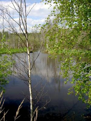 Photo 1035335-1192