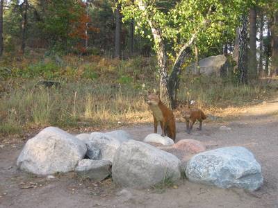 Photo 1036657-1198