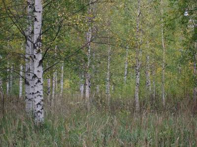 Photo 1037310-1098