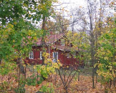 Photo 1037410-1198