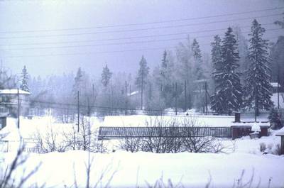 Photo 1037412-1198