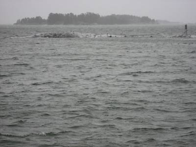 Photo 1037426-1098