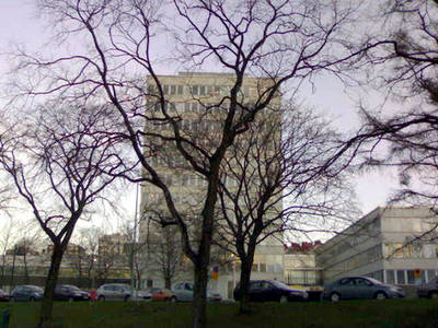 Photo 1037799-1028