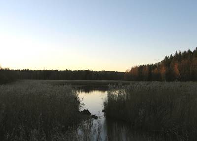 Photo 1038030-1198