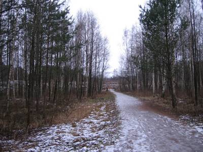 Photo 1038120-1198